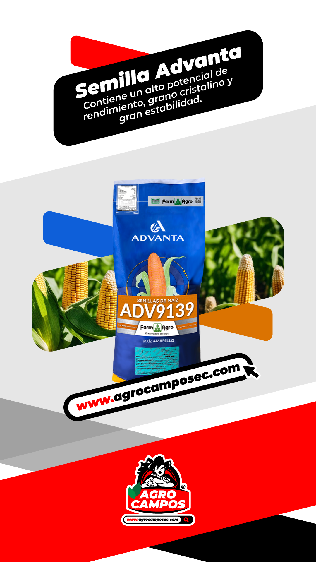Semilla de Maíz Advanta ADV9139