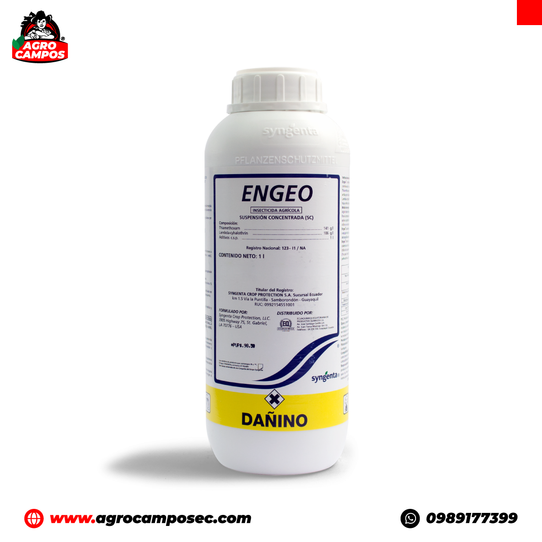 Engeo