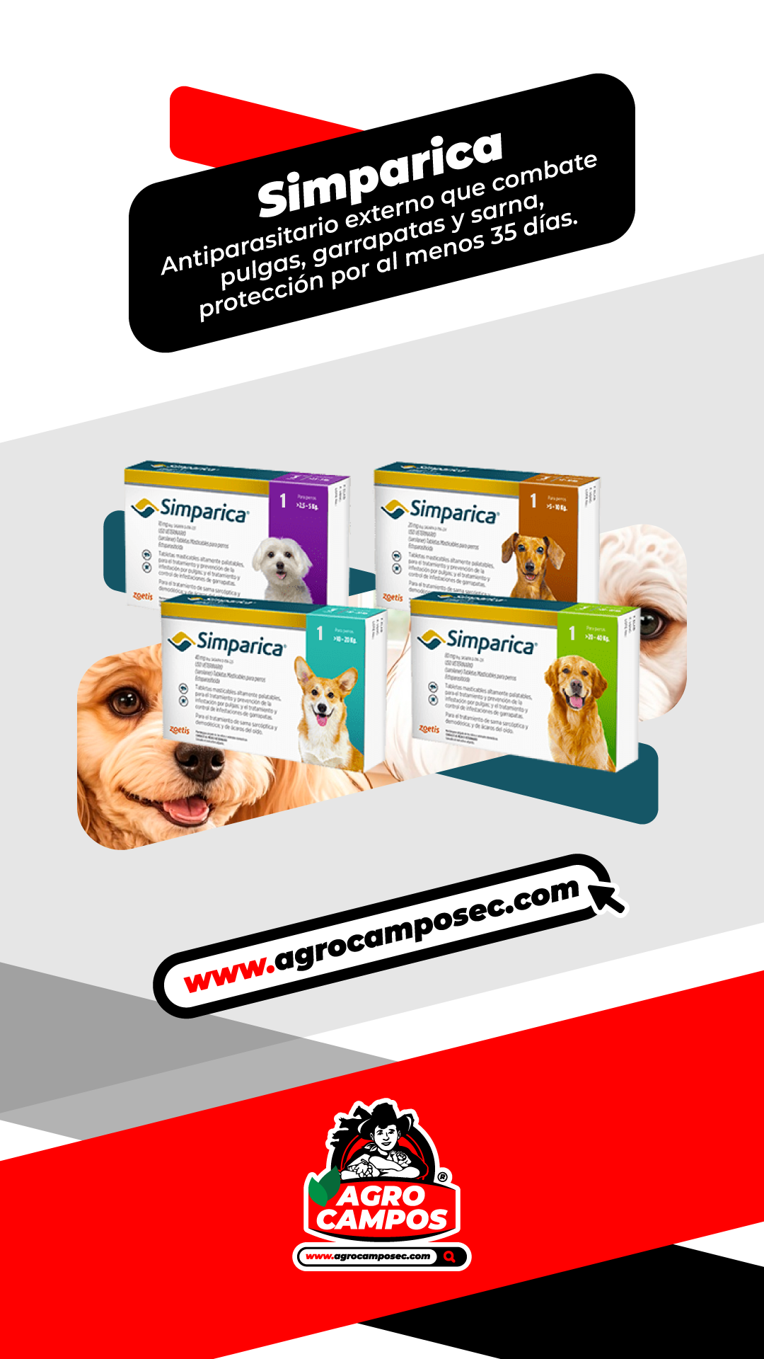 Simparica 10-20Kg / 40mg (ENVÍO GRATIS)