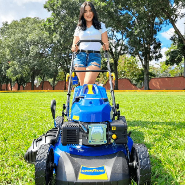 Cortacésped, Cortasetos, Podadoras