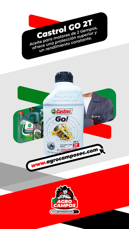 Aceite Castrol GO 2T