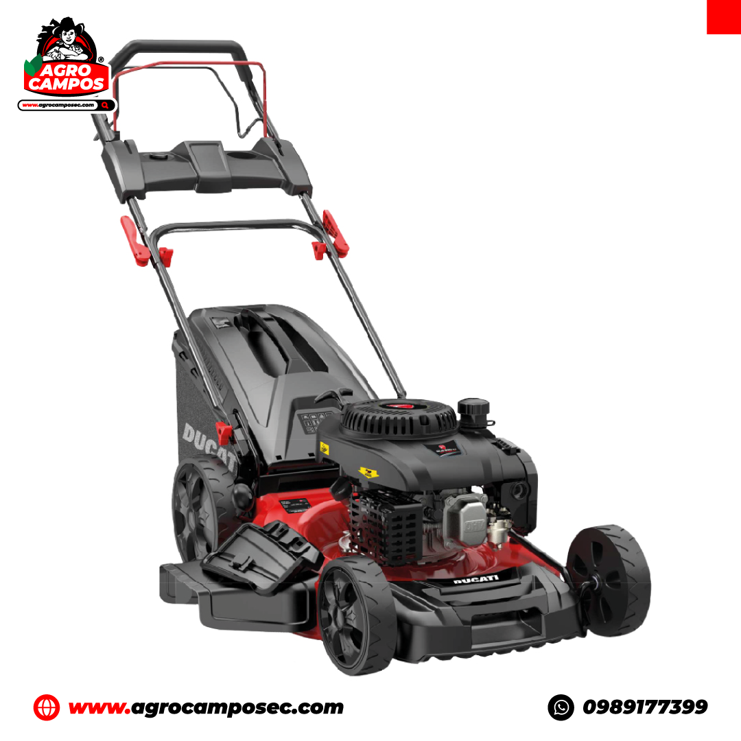 Cortacésped Ducati DLM 5600