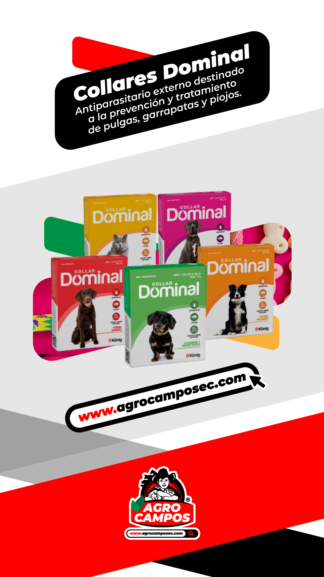 Collares Dominal - Agro Campos