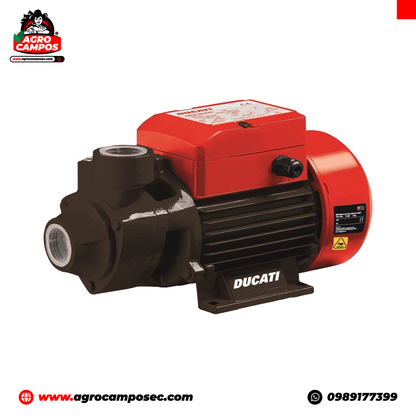 Electrobomba Periférica Ducati DPP 6000S