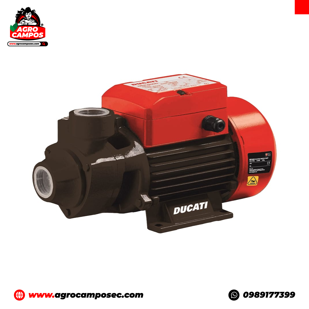 Electrobomba Periférica Ducati DPP 7000S
