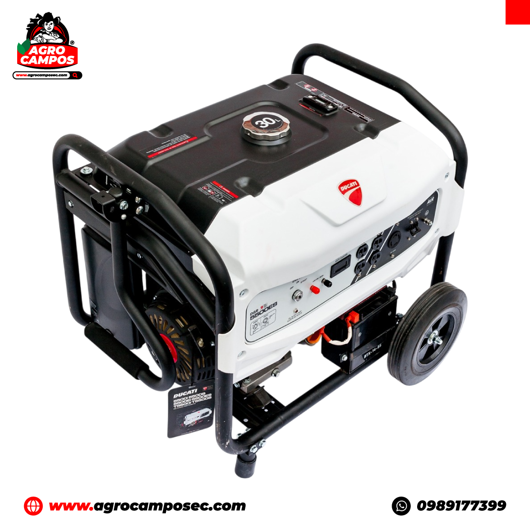 Generador Ducati DGR 5500S