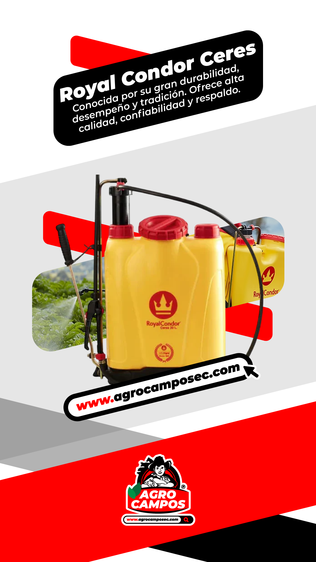 Fumigadora Royal Condor Ceres (ENVÍO GRATIS)