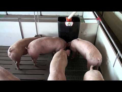 Comedero Cerdos TR2 Sencillo