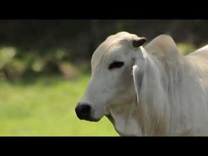 Abono Completo 10-30-10