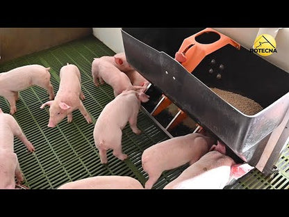 Comedero Cerdos TR4 Lechones